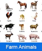 farm animals